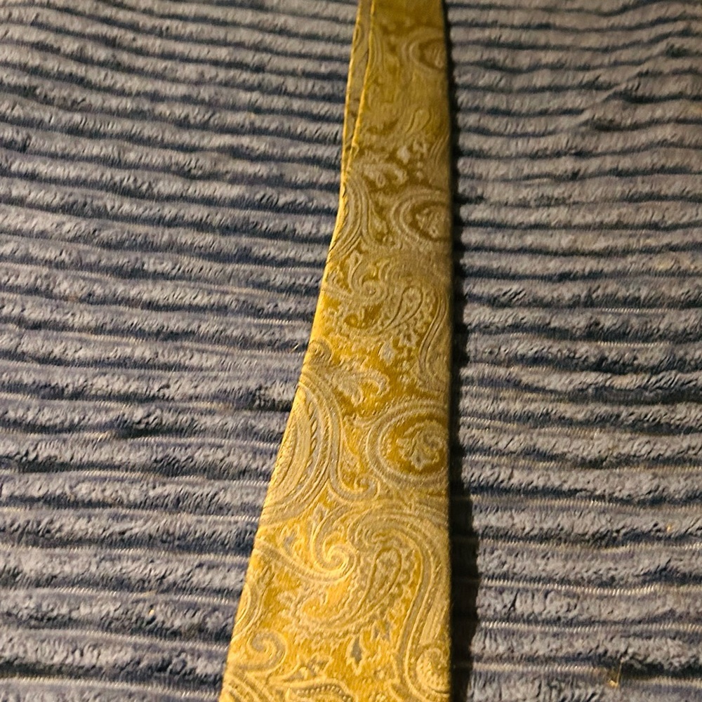 Luxurious Paisley Tie in Gold